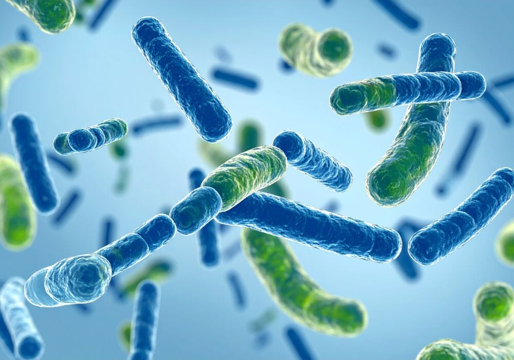 Brobiotici per atleti